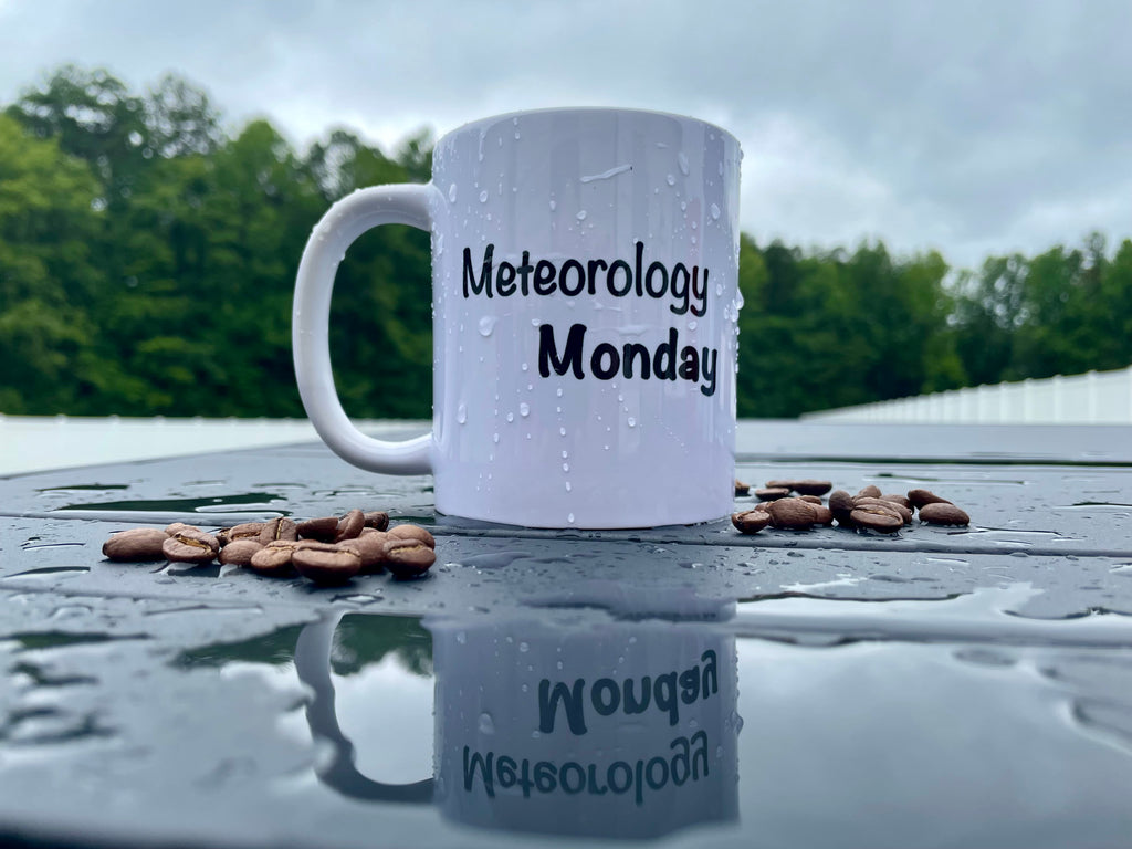 RIGHT-Handed Meteorology Monday Mug