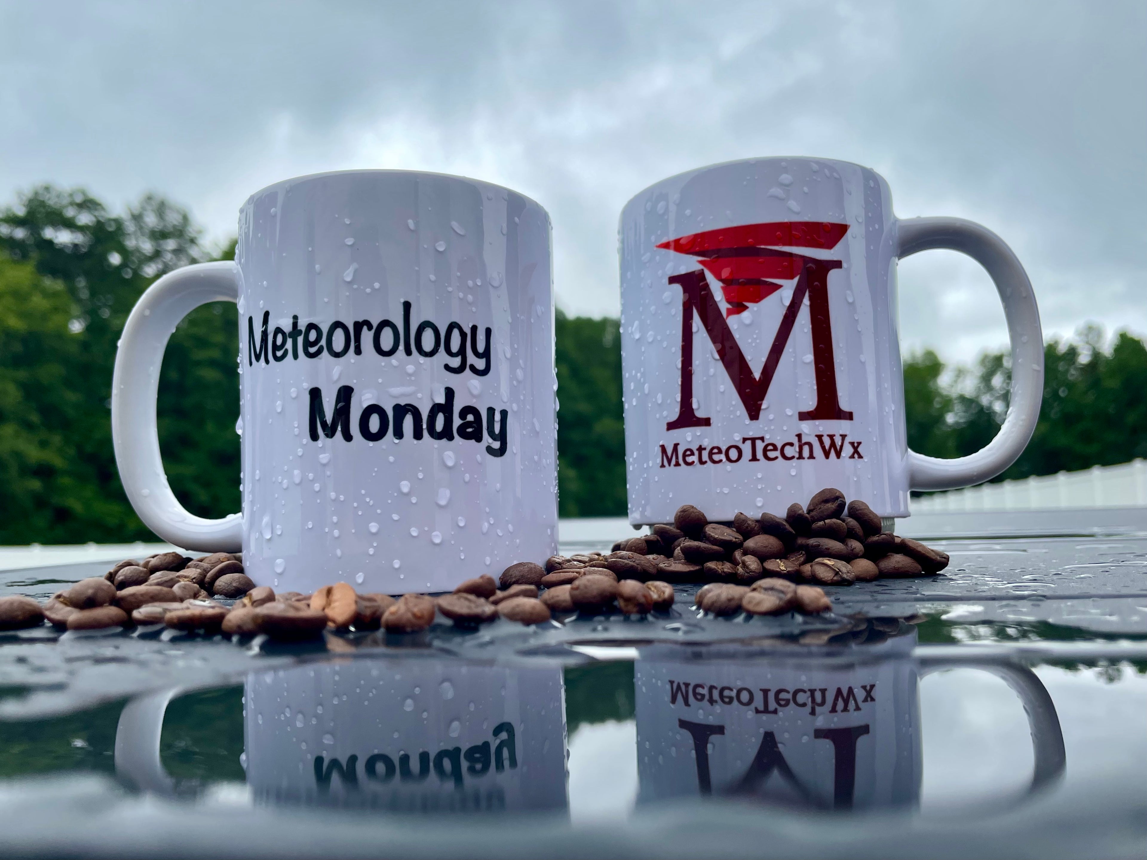 LEFT-Handed MeteoTechWx Logo Mug